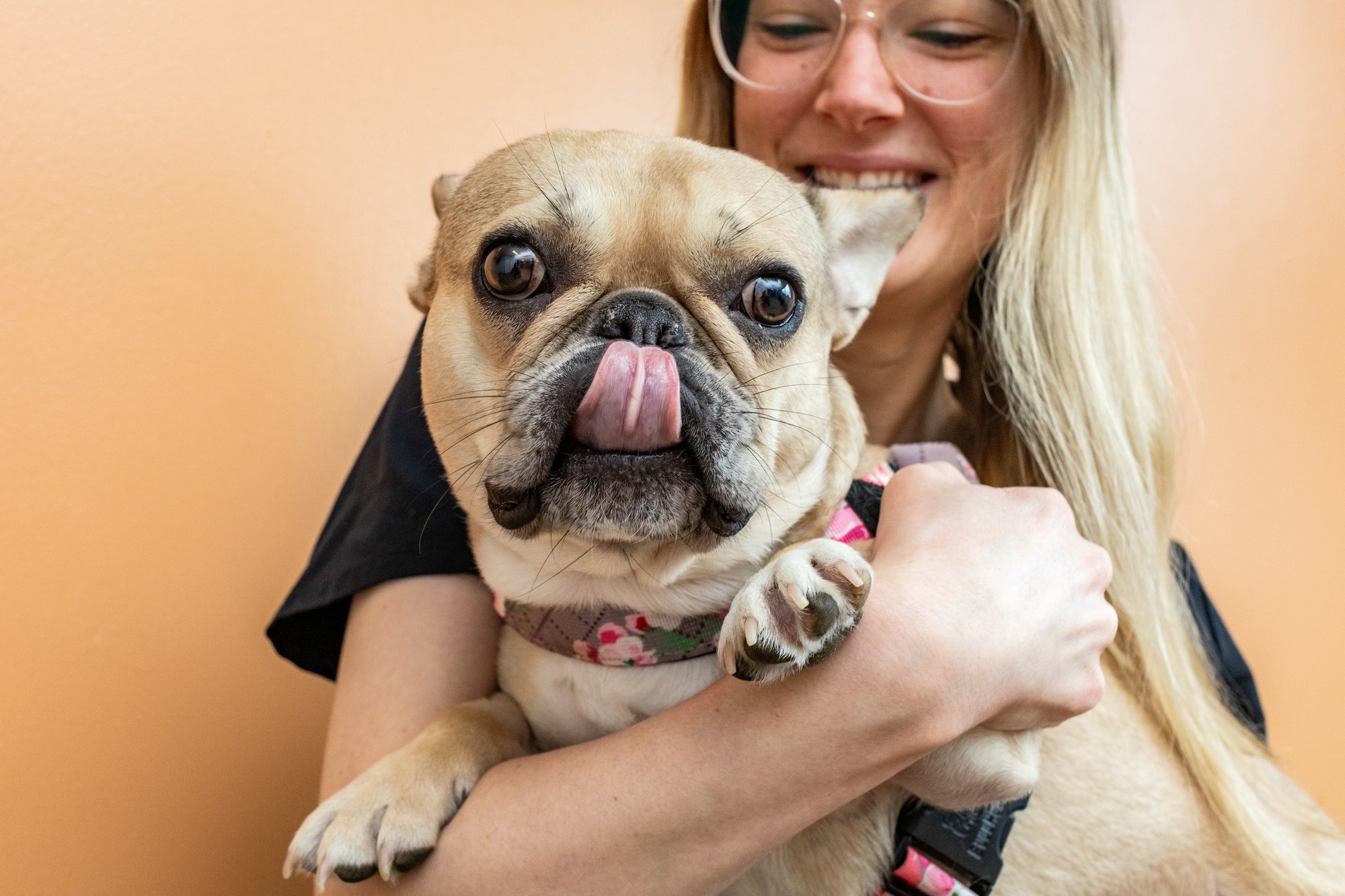 North Torrington Veterinary Hospital_Portrait-011