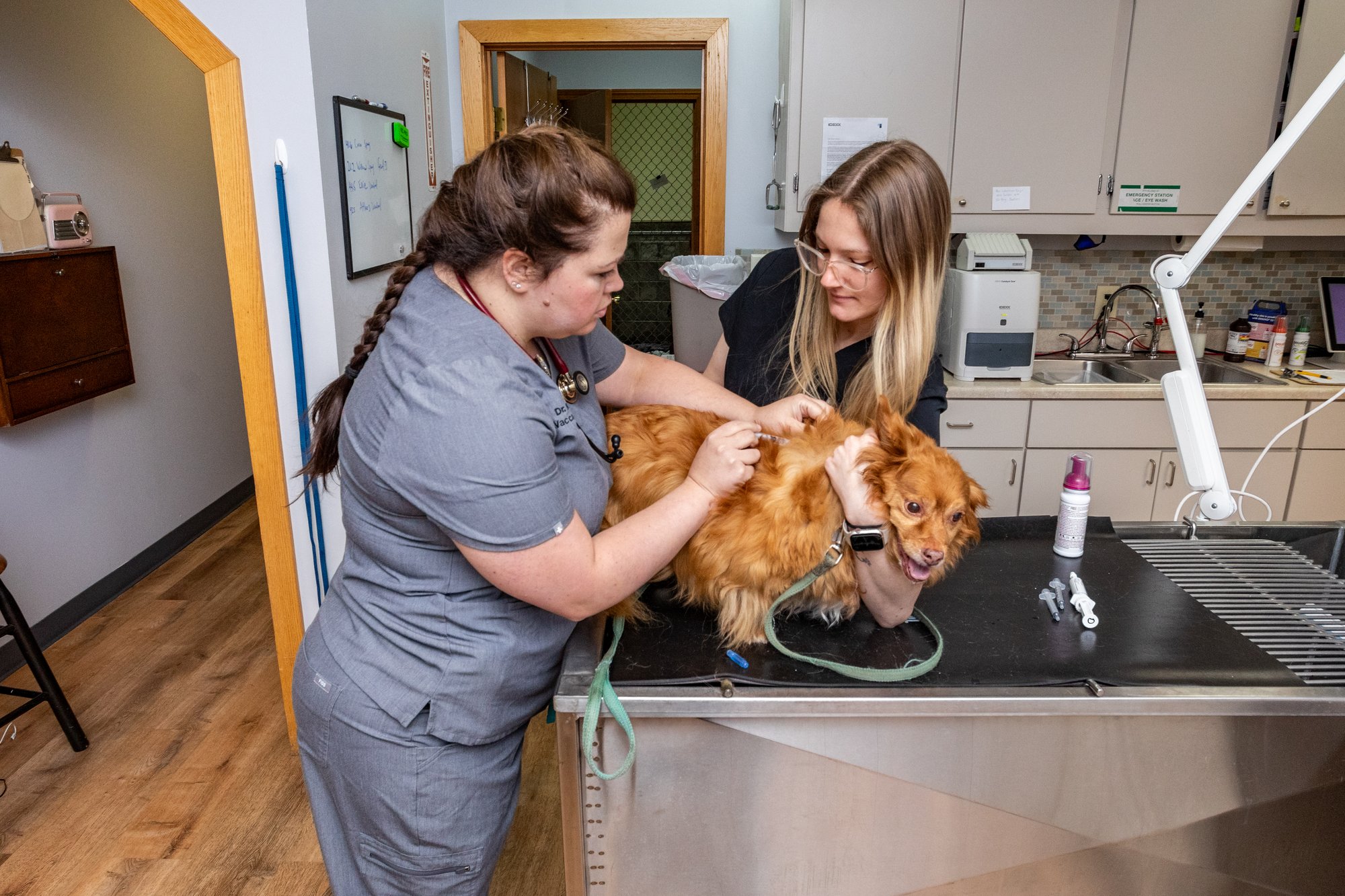North Torrington Veterinary Hospital_Portrait-016-1